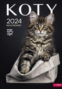 Obrazek Kalendarz 2024 ścienny A3 Koty