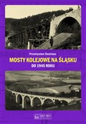 Polska książka : Mosty kole... - Przemysław Dominas