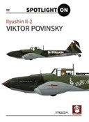 Polnische buch : Ilyushin I... - Viktor Povinsky