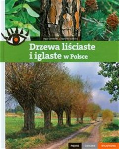 Obrazek Drzewa liściaste i iglaste w Polsce Piękne ciekawe wyjątkowe