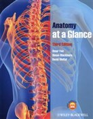 Anatomy at... - Omar Faiz, Simon Blackburn, David Moffat -  Polnische Buchandlung 