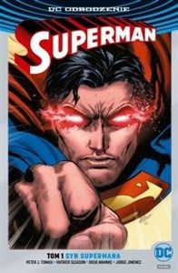 Obrazek Superman T.1 Syn Supermana (srebrna)