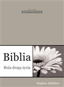 Biblia Boż... - Stephen Matthew - buch auf polnisch 