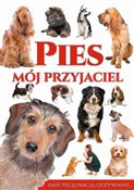 Pies mój p... - Joanna Werner - buch auf polnisch 