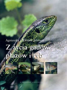 Bild von Z życia gadów płazów i ryb
