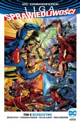 Polnische buch : Liga Spraw... - Bryan Hitch