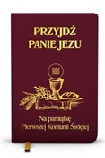 Polska książka : Przyjdź Pa... - Stanisław Groń