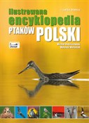 Polska książka : Ilustrowan... - Michał Radziszewski, Mateusz Matysiak