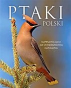 Ptaki Pols... - Dominik Marchowski -  polnische Bücher