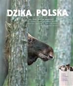 Dzika Pols... - Tomasz Kłosowski - buch auf polnisch 