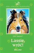Książka : Lassie wró... - Eric Knight