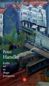 Krótki lis... - Peter Handke -  Polnische Buchandlung 