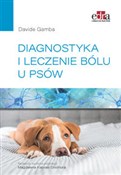 Polnische buch : Diagnostyk... - D. Gamba