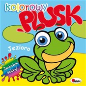 Kolorowy p... - Mirosława Kwiecińska -  polnische Bücher
