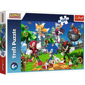 Bild von Puzzle Sonic i przyjaciele 160