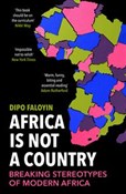 Polska książka : Africa Is ... - Dipo Faloyin