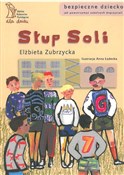 Słup soli - Elżbieta Zubrzycka -  Polnische Buchandlung 