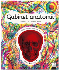 Bild von Gabinet anatomii
