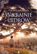 Książka : W krainie ... - Pierre Jarawan
