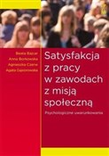 Polska książka : Satysfakcj... - Beata Bajcar, Anna Borkowska, Agnieszka Czerw