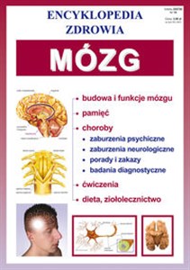 Bild von Mózg Encyklopedia zdrowia