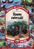 Historia d... - Joanna Szarek, Jarosław Szarek -  fremdsprachige bücher polnisch 