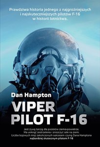 Bild von Viper Pilot F-16