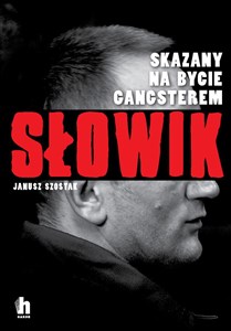 Bild von Słowik Skazany na bycie gangsterem