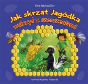Polska książka : Jak skrzat... - Ewa Stadtmuller
