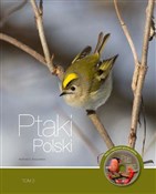 Polnische buch : Ptaki Pols... - Andrzej G. Kruszewicz