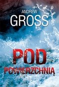 Polska książka : Pod powier... - Andrew Gross