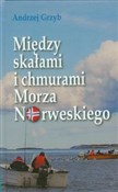 Książka : Między ska... - Andrzej Grzyb