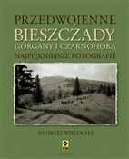 Przedwojen... - Andrzej Wielocha -  polnische Bücher
