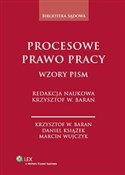 Procesowe ... - Krzysztof Wojciech Baran, Marcin Wujczyk, Daniel Książek -  polnische Bücher