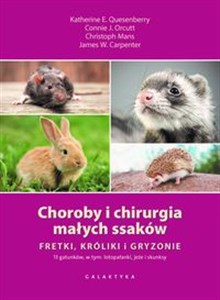 Bild von Choroby i chirurgia małych ssaków Fretki, króliki, gryzonie
