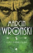 Polska książka : Gliny z in... - Marcin Wroński, Andrzej Pilipiuk, Robert Ostaszewski, Ryszard Ćwirlej
