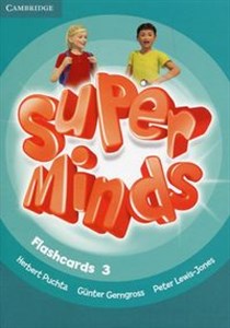 Bild von Super Minds Level 3 Flashcards (Pack of 83)