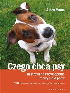 Bild von Czego chcą psy Ilustrowana encyklopedia mowy ciała psów. 100 pozycji, wyrazów pyska, dźwięków i zachowań
