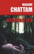 Książka : Otchłań zł... - Maxime Chattam