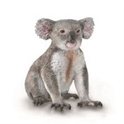 Miś Koala -  fremdsprachige bücher polnisch 