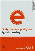 Testy i za... - Jarosław Idczak -  polnische Bücher