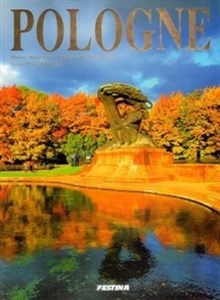 Obrazek Pologne Polska wersja francuska