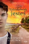 Polska książka : Gdziekolwi... - Agnieszka Olejnik