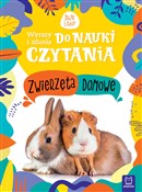 Polnische buch : Zwierzęta ... - Monika Basiejko