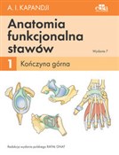 Polska książka : Anatomia f... - I.A. 	Kapandji