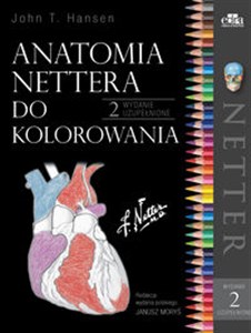 Obrazek Anatomia Nettera do kolorowania