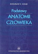 Podstawy a... - Bogusław K. Gołąb -  fremdsprachige bücher polnisch 