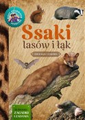 Polska książka : Ssaki lasó... - Małgorzata Wilamowska