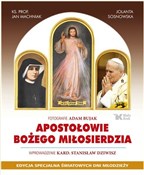 Apostołowi... - Jolanta Sosnowska, Jan Machniak, Stanisław Dziwisz - buch auf polnisch 