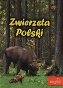 Zwierzęta ... - Elżbieta Zarych -  fremdsprachige bücher polnisch 